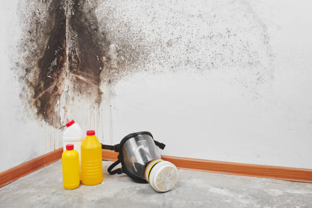 Best Crawl Space Mold Removal  in Clintonville, WI