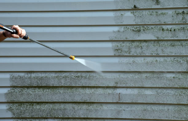 Best Residential Mold Removal  in Clintonville, WI