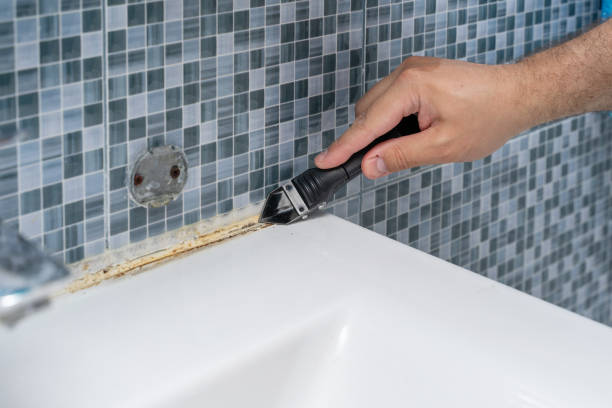 Best Mold Removal Process  in Clintonville, WI