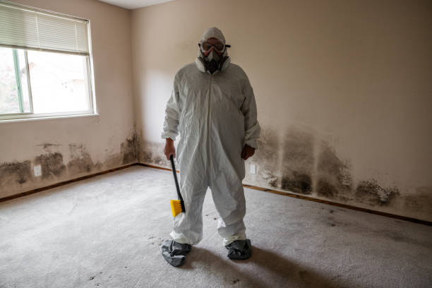 Best Black Mold Removal  in Clintonville, WI