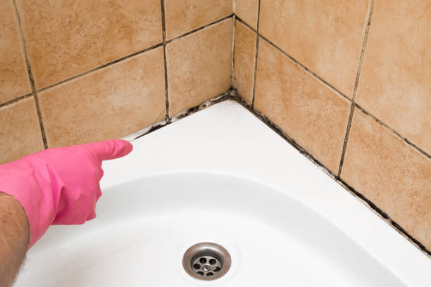 Best Mold Cleaning Services  in Clintonville, WI